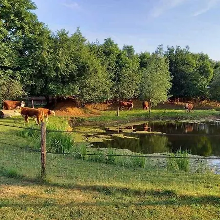 Boertel Lamperse Hei 3* Wanroij