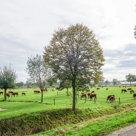 ホテル Boertel Lamperse Hei