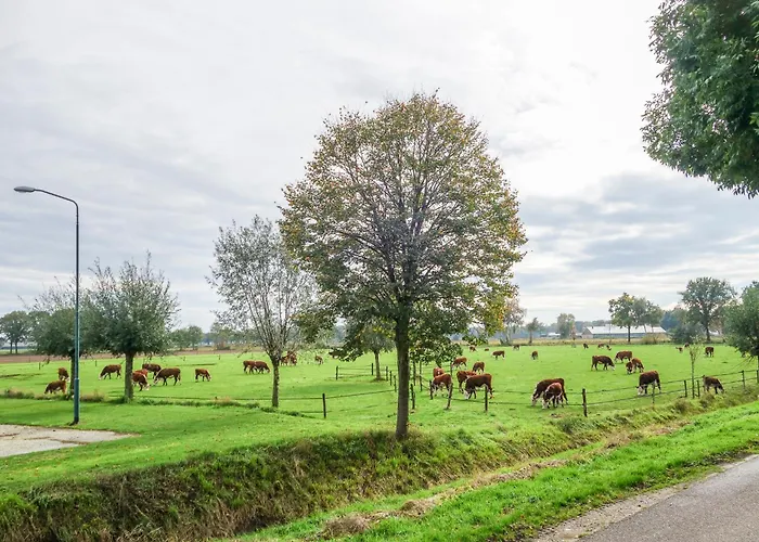 Szálloda Boertel Lamperse Hei
