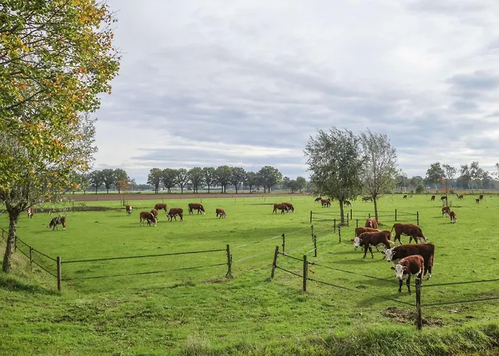 Boertel Lamperse Hei Szálloda Wanroij