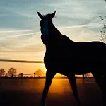Отель Boertel Lamperse Hei Wanroij