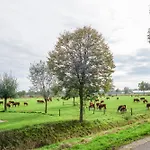 Отель Boertel Lamperse Hei