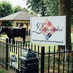 Boertel Lamperse Hei