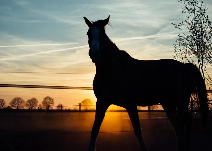 فندق Boertel Lamperse Hei Wanroij